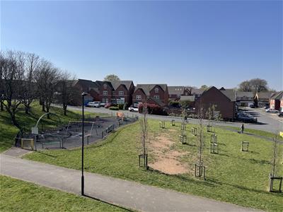Picture 17